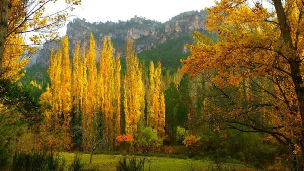 Pack fin de semana en la Sierra de Segura - Imagen 8