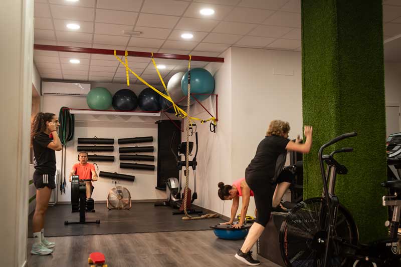 miofit-1