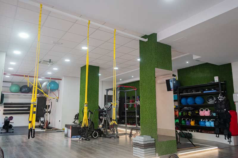 miofit-3